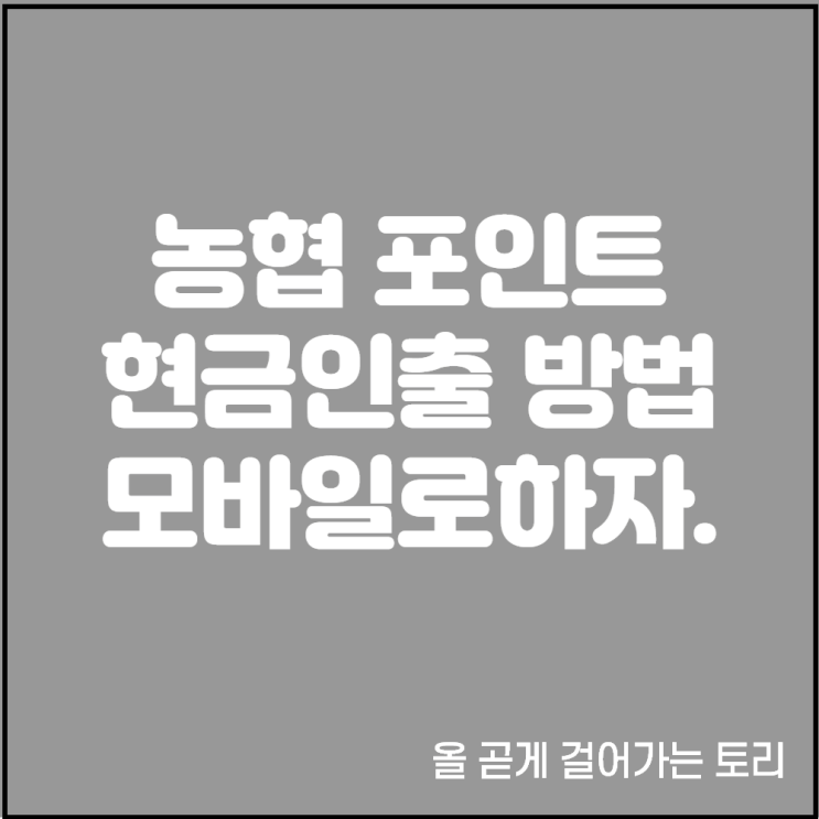  앱으로 하는 NH농협카드 채움 포인트 조회 및 현금화 인출 방법