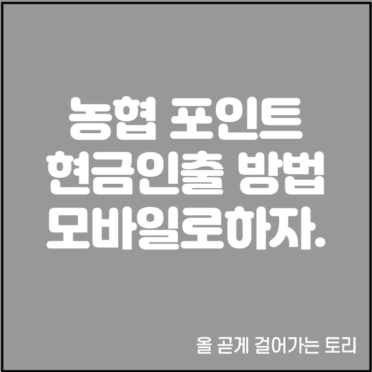 앱으로 하는 NH농협카드 채움 포인트 조회 및 현금화 인출 방법