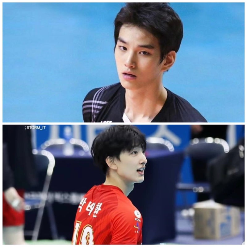 박태환 ❤️ 임성진 나이 키 프로필 ⭐️ 수원 한국전력 배구선수