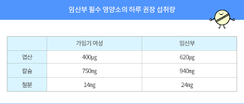 임신임산부식단 영양소필요량섭취량 태아기형장애종류:오메가3 타우린 비타민E복용