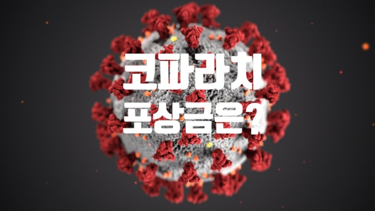  코파라치 포상금? 5인 이상 모임 신고 건수 하루 1000건 이상이 쏟아진다