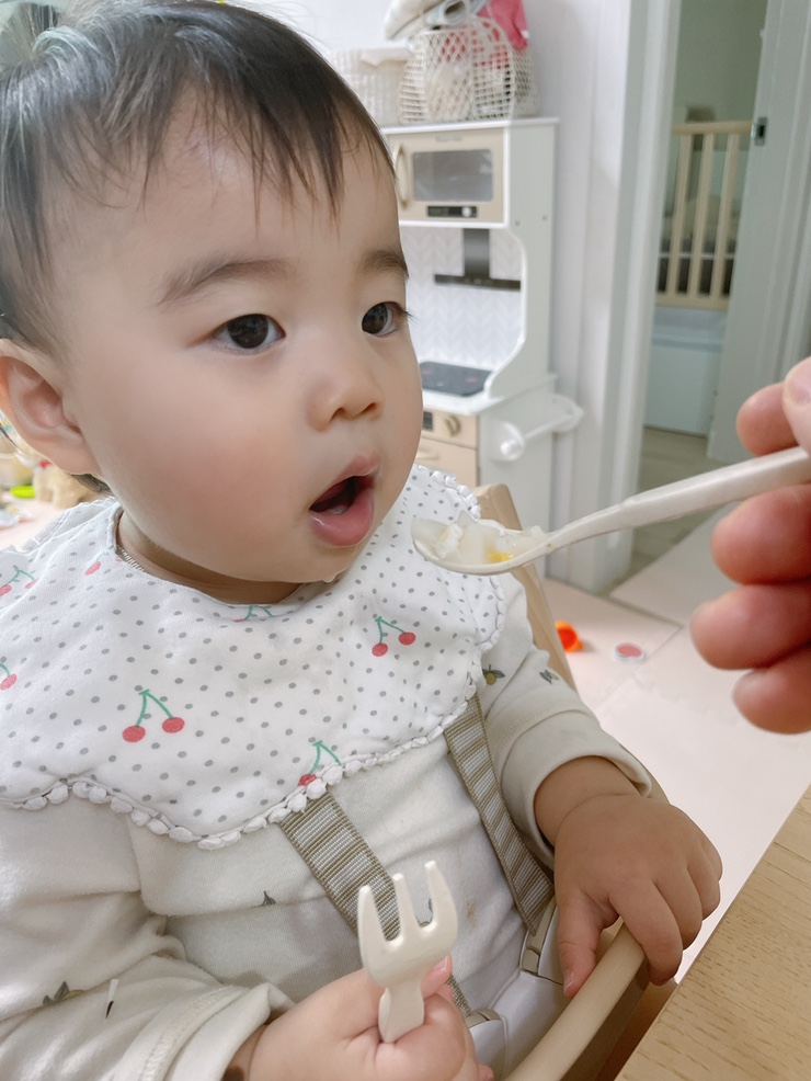 13개월아기스케쥴 유아식식단 유아식반찬모음 집밥유선생