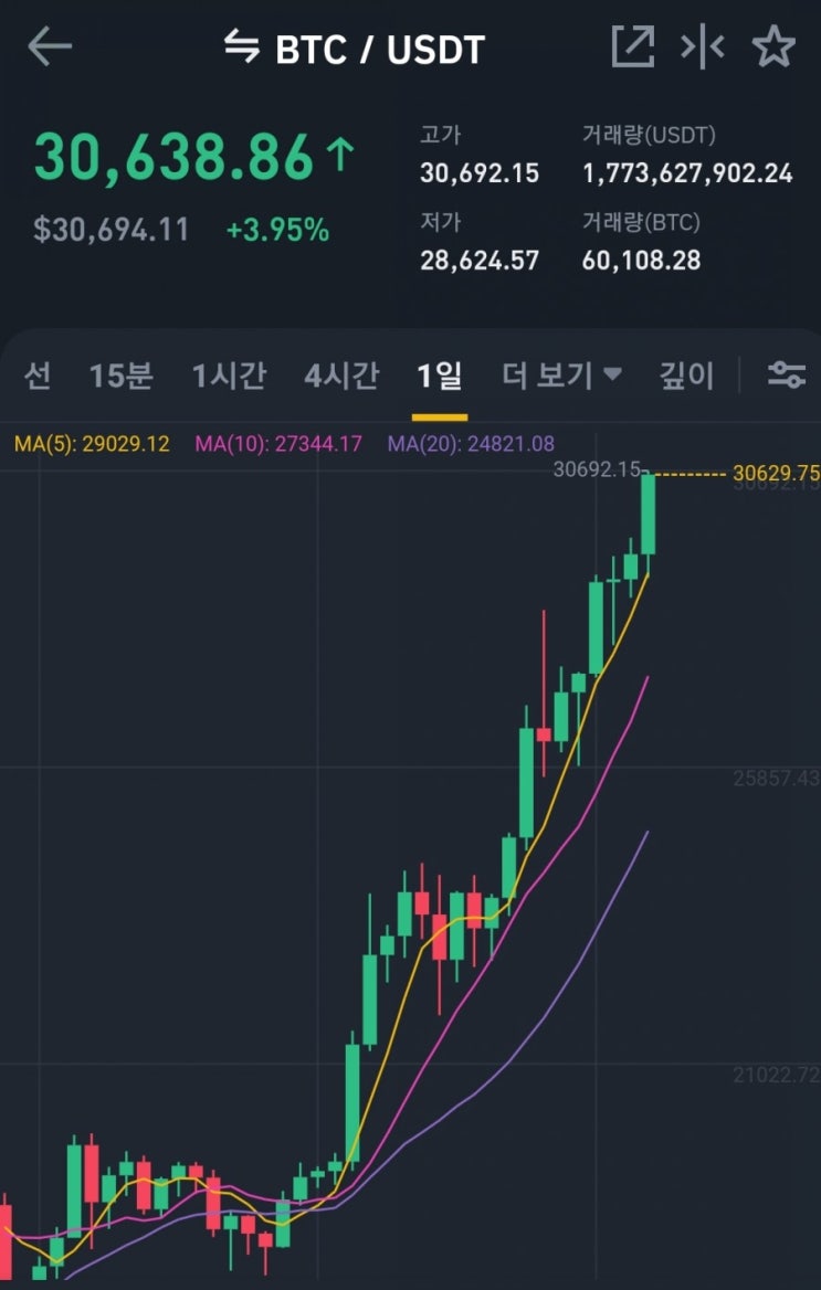  비트코인 3만 달러 돌파! 고점은 어디?