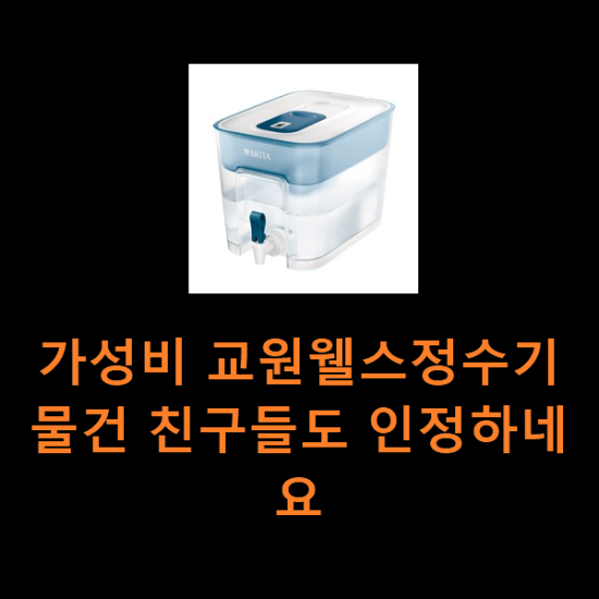 가성비 교원웰스정수기 물건 친구들도 인정하네요 가성비 교원웰스정수기 물건 친구들도 인정하네요