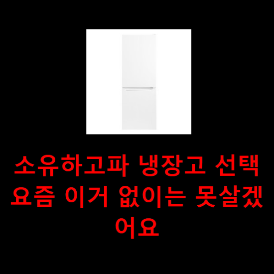 소유하고파 냉장고 선택 요즘 이거 없이는 못살겠어요 소유하고파 냉장고 선택 요즘 이거 없이는 못살겠어요