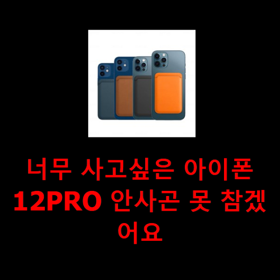 너무 사고싶은 아이폰12PRO 안사곤 못 참겠어요