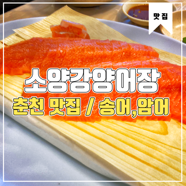 [춘천 맛집] 소양강양어장 송어회, 암어회 먹부림 Feat.송어먹는법