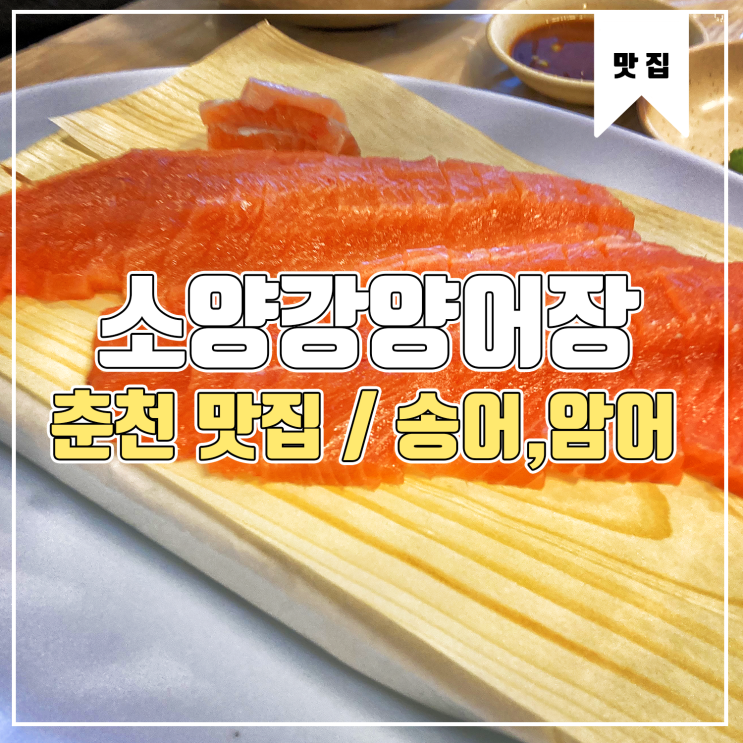  [춘천 맛집] 소양강양어장 송어회, 암어회 먹부림 Feat.송어먹는법