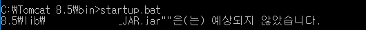  Tomcat startup.bat 오류(~은(는) 예상되지 않았습니다.)