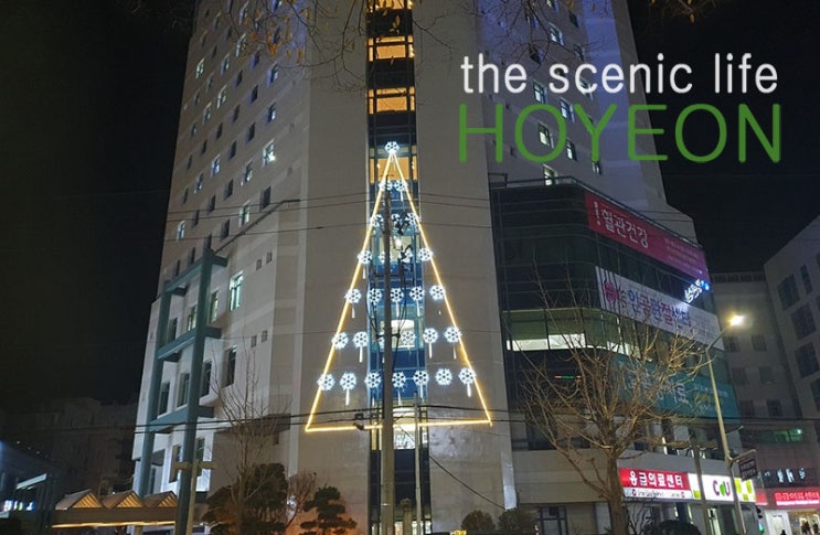  크리스마스 벽트리 : 주례 좋은삼선병원 LED경관조명 트리장식