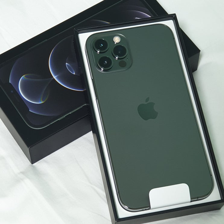  아이폰 12 pro 그래파이트 자급제 Flex!