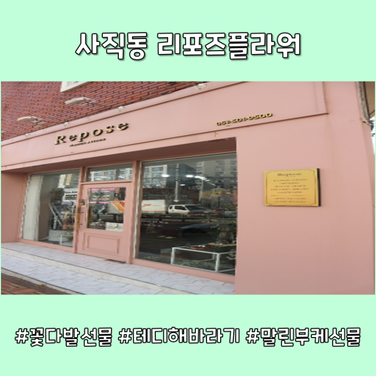  사직동 꽃집, 리포즈플라워_테디해바라기 꽃다발 향기롭네요