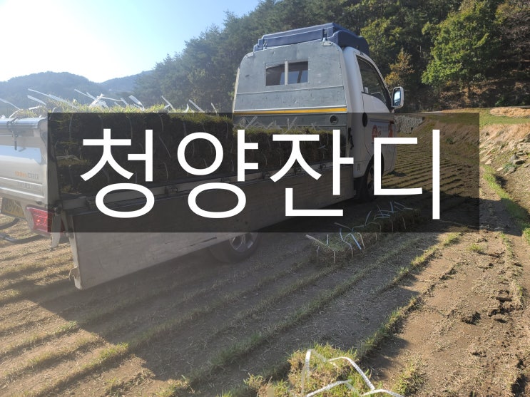  맑은 공기 힐링이 함께하는 청양 잔디 배달