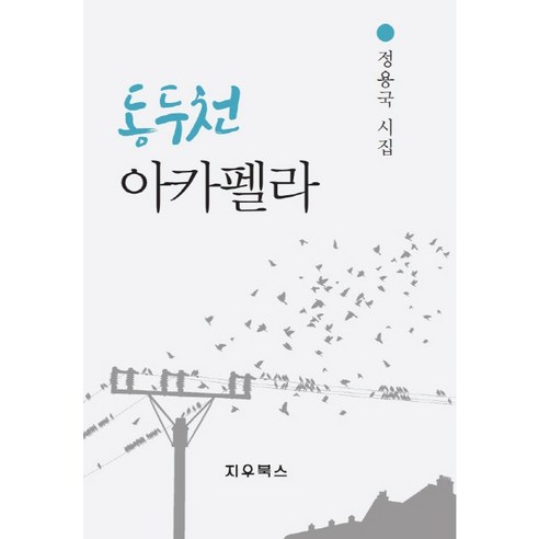 동두천 아카펠라:정용국 시집