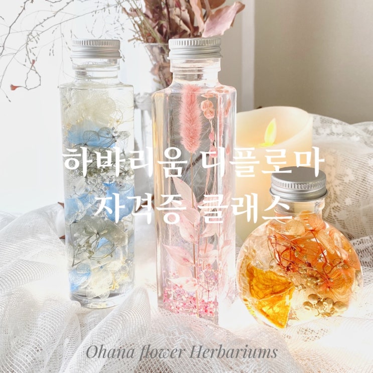 JHA 하바리움협회 디플로마클래스  :: 부산 수영 해운대 플라워스튜디오 Ohanaflower