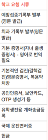 미국 갈 때 짐싸기 리스트 미국 갈 때 짐싸기 리스트