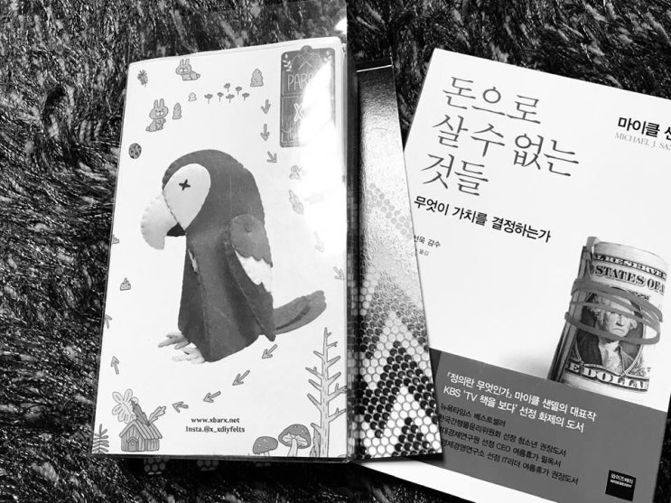  조카선물, 펠트 DIY 인형, 부직포 동물 인형 만들기
