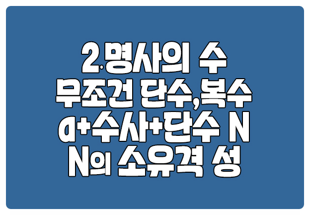 명사의 수 소유격 성 과목명 economics 병명 diabetes 명사의 수 소유격 성 과목명 economics 병명 diabetes
