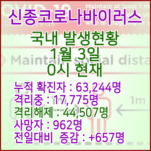  코로나19(코로나바이러스) 1월 3일 0시 국내(해외포함) 발병 63,244명 / 44,507명 완치 격리해제 / 사망자 962명