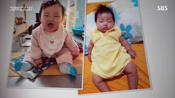  그것이 알고 싶다 16개월 정인이 / 진정서 / 정인아 미안해 ...