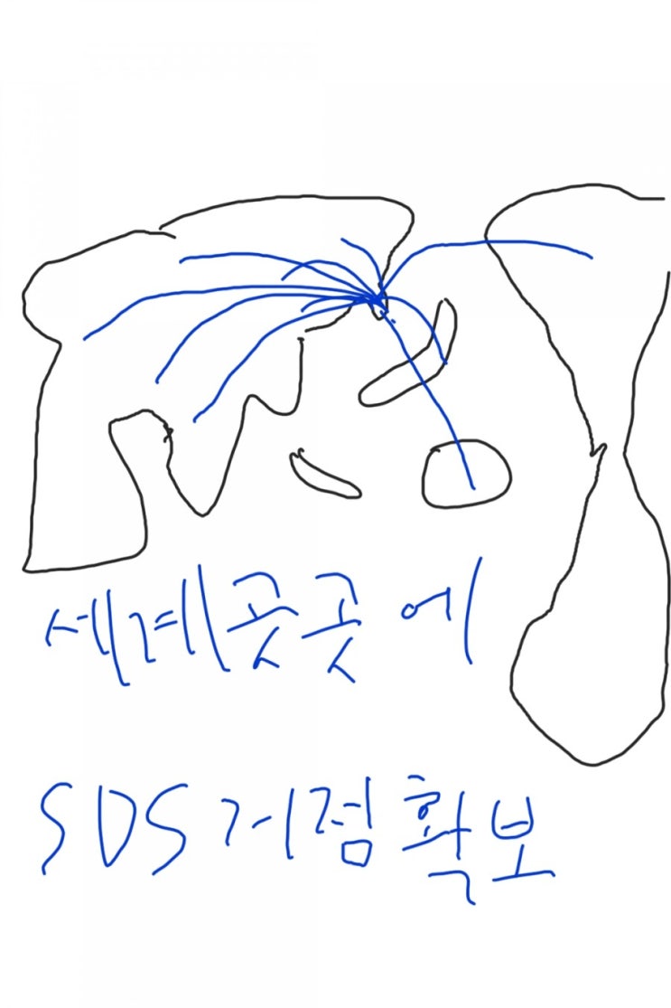 삼성에스디에스 적금처럼 매수해볼까?