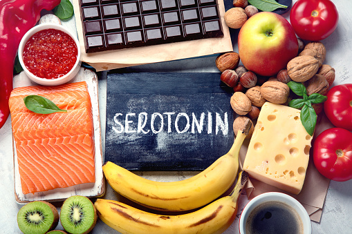  세로토닌serotonin