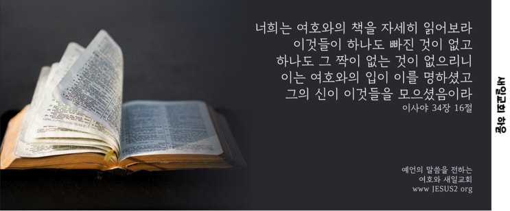 새일교회 | 복음의 일군된 바울 새일교회 | 복음의 일군된 바울