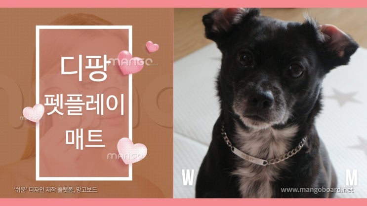 애견매트 디팡 펫플레이매트 폴딩 타입 강아지 슬개골탈구 예방을 위한 반려인의 선택 애견매트 디팡 펫플레이매트 폴딩 타입 강아지 슬개골탈구 예방을 위한 반려인의 선택