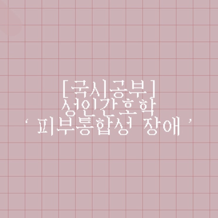  [국시공부] 성인간호학 ‘피부통합성 장애’