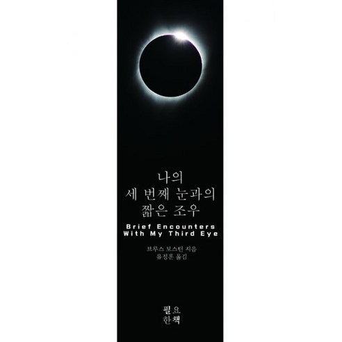  나의 세 번째 눈과의 짧은 조우