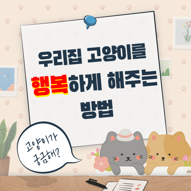  우리집 고양이를 행복하게 해주는 방법