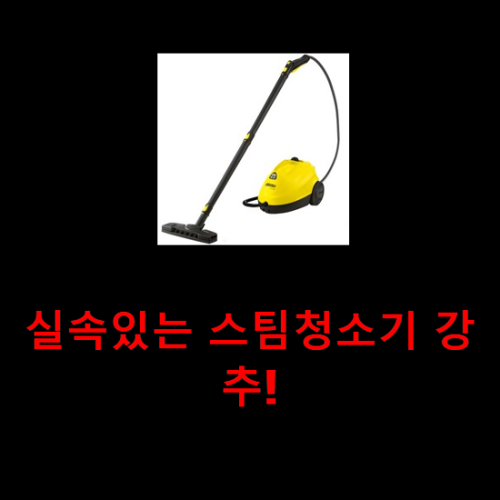 실속있는 스팀청소기 강추!