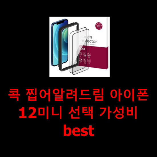 콕 찝어알려드림 아이폰12미니 선택 가성비 best