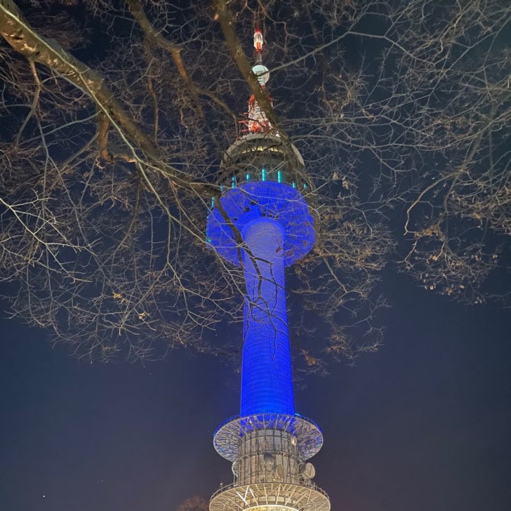  새해맞이 겨울 남산타워 N서울타워 드라이브 성곽길 둘레길 산책코스 야경 후기