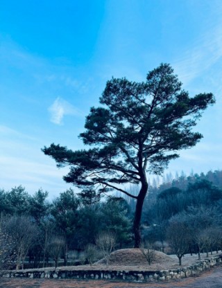  [송박나겨울방학]조선의 독서광을 소개합니다!(1월 4일 접수)