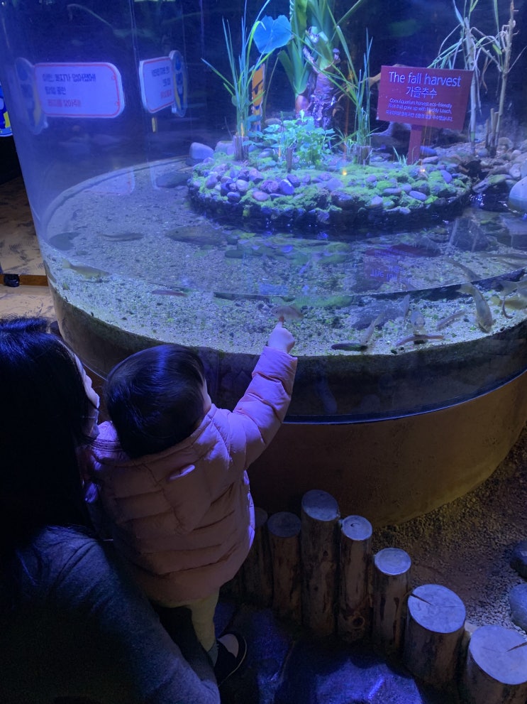  코엑스아쿠아리움할인 정보 및 탐방기, 2시간 후딱~