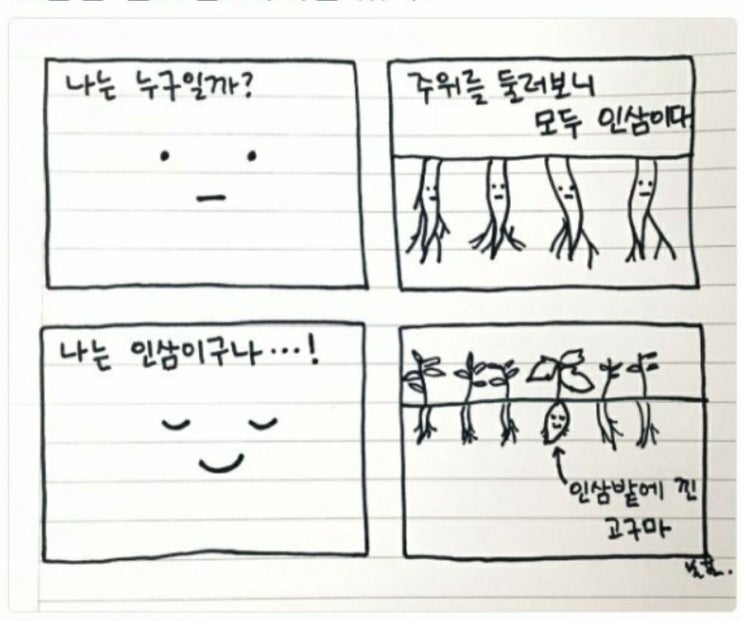  인삼 고구마 이야기.