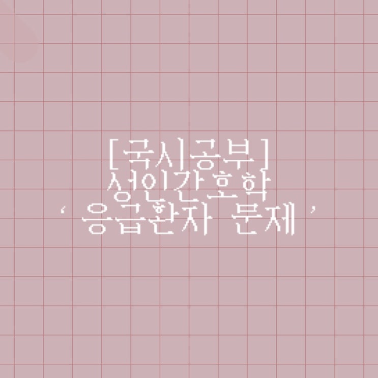  [국시공부] 성인간호학 ’응급환자 문제’