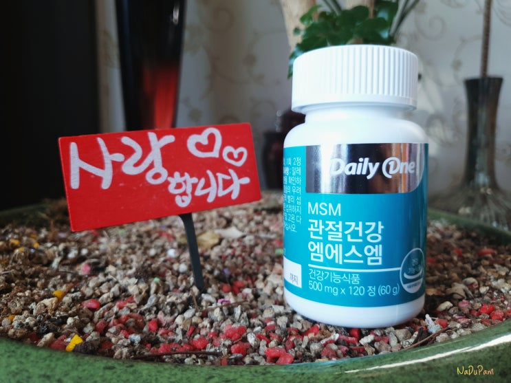  데일리원 관절건강 엠에스엠관절케어 더 늦기전에