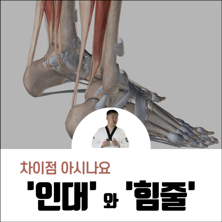  인대와 힘줄 차이점 의외로 모르시더라고요.