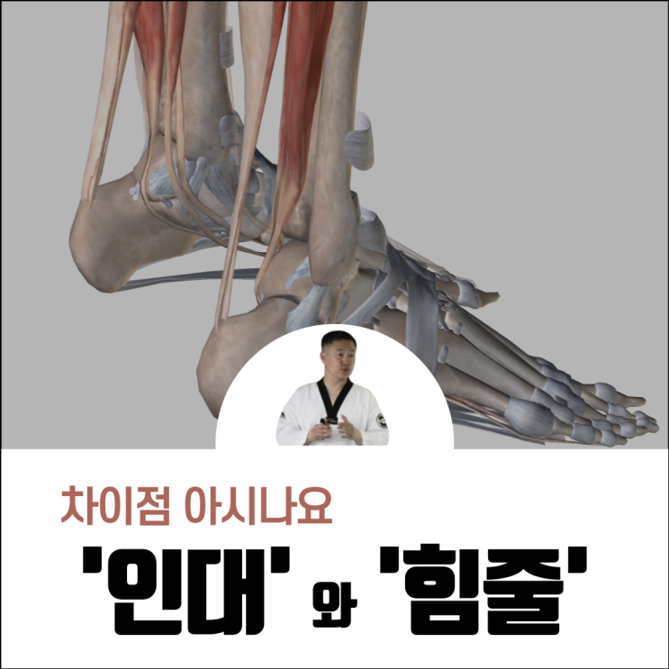 인대와 힘줄 차이점 의외로 모르시더라고요.