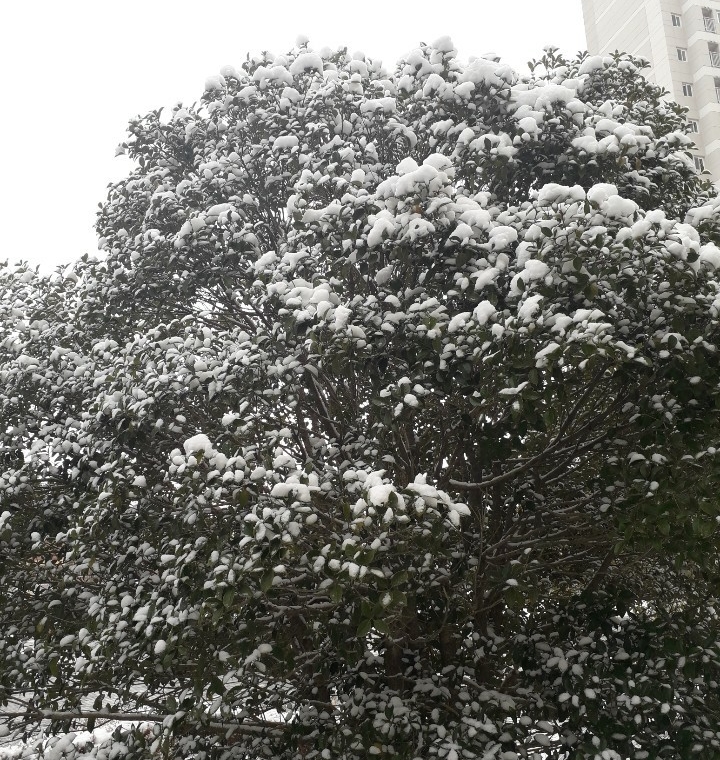  공원녹지(도시공원 및 녹지), 완충녹지에 도로, 교량(다리), 농업용수취수시설, 공작물과 시설 설치-맹지 탈출, 진입로 개설, 개발행위허가, 건축 허가, 대지로 지목변경