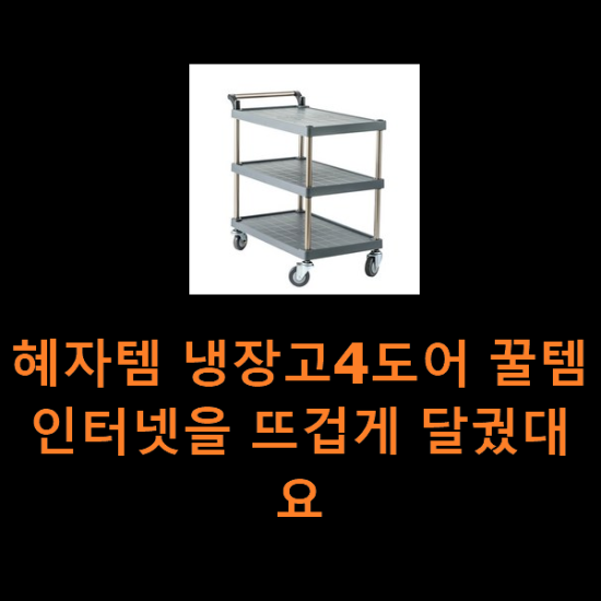 혜자템 냉장고4도어 꿀템 인터넷을 뜨겁게 달궜대요 혜자템 냉장고4도어 꿀템 인터넷을 뜨겁게 달궜대요