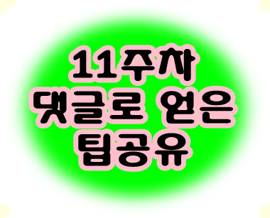  11주차 댓글로 얻은 팁공유