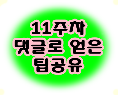 11주차 댓글로 얻은 팁공유