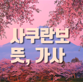  사쿠란보 뜻 가사 및 해석