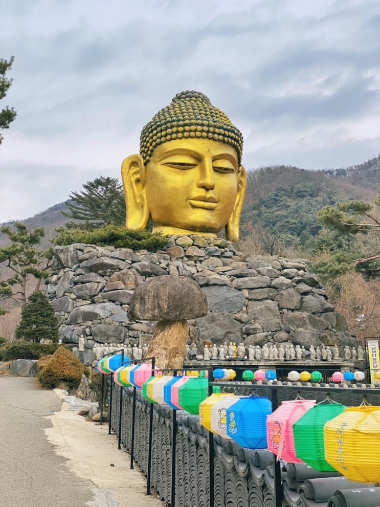  용인 드라이브 코스 추천 : 와우정사로 주말 나들이