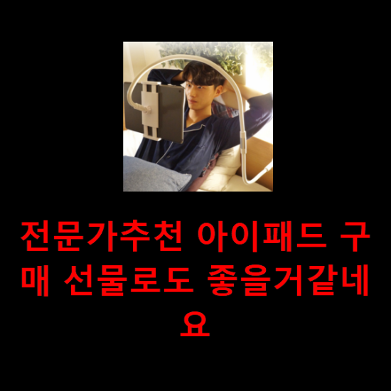전문가추천 아이패드 구매 선물로도 좋을거같네요 전문가추천 아이패드 구매 선물로도 좋을거같네요