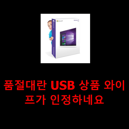 품절대란 USB 상품 와이프가 인정하네요