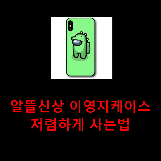 알뜰신상 이영지케이스 저렴하게 사는법 알뜰신상 이영지케이스 저렴하게 사는법